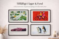Tillfälligt i lager / Fynd